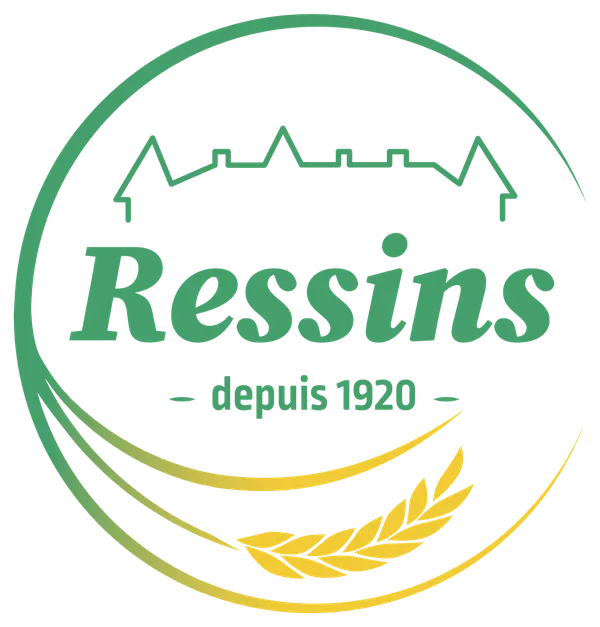 Logo Lycée Ressins