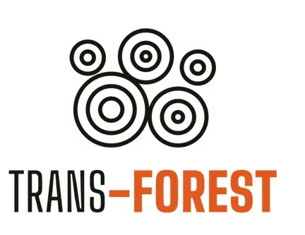 Logo Trans Forest